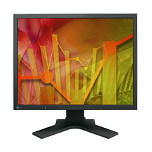 EIZO 21.3" S2133-BK Wide TFT TN IPS LCD 250cd/m2, 1600x1200 Black Monitor