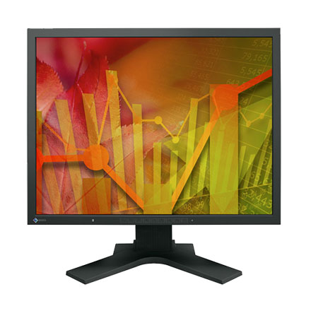 EIZO 21.3" S2133-BK Wide TFT TN IPS LCD 250cd/m2, 1600x1200 Black Monitor